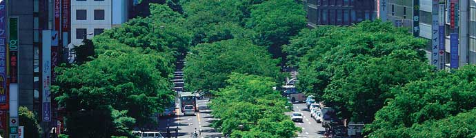 仙台市の住まい探しはチヒロ不動産へどうぞ!